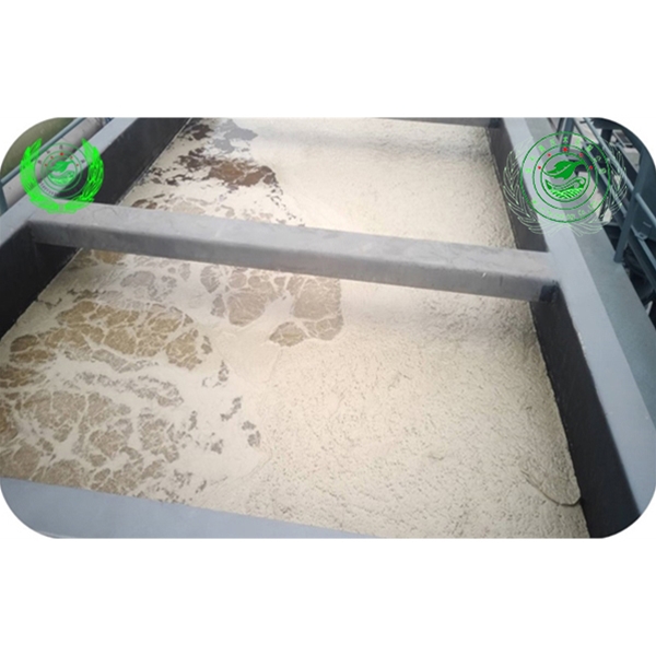 三項(xiàng)渦流氣浮運(yùn)行效果